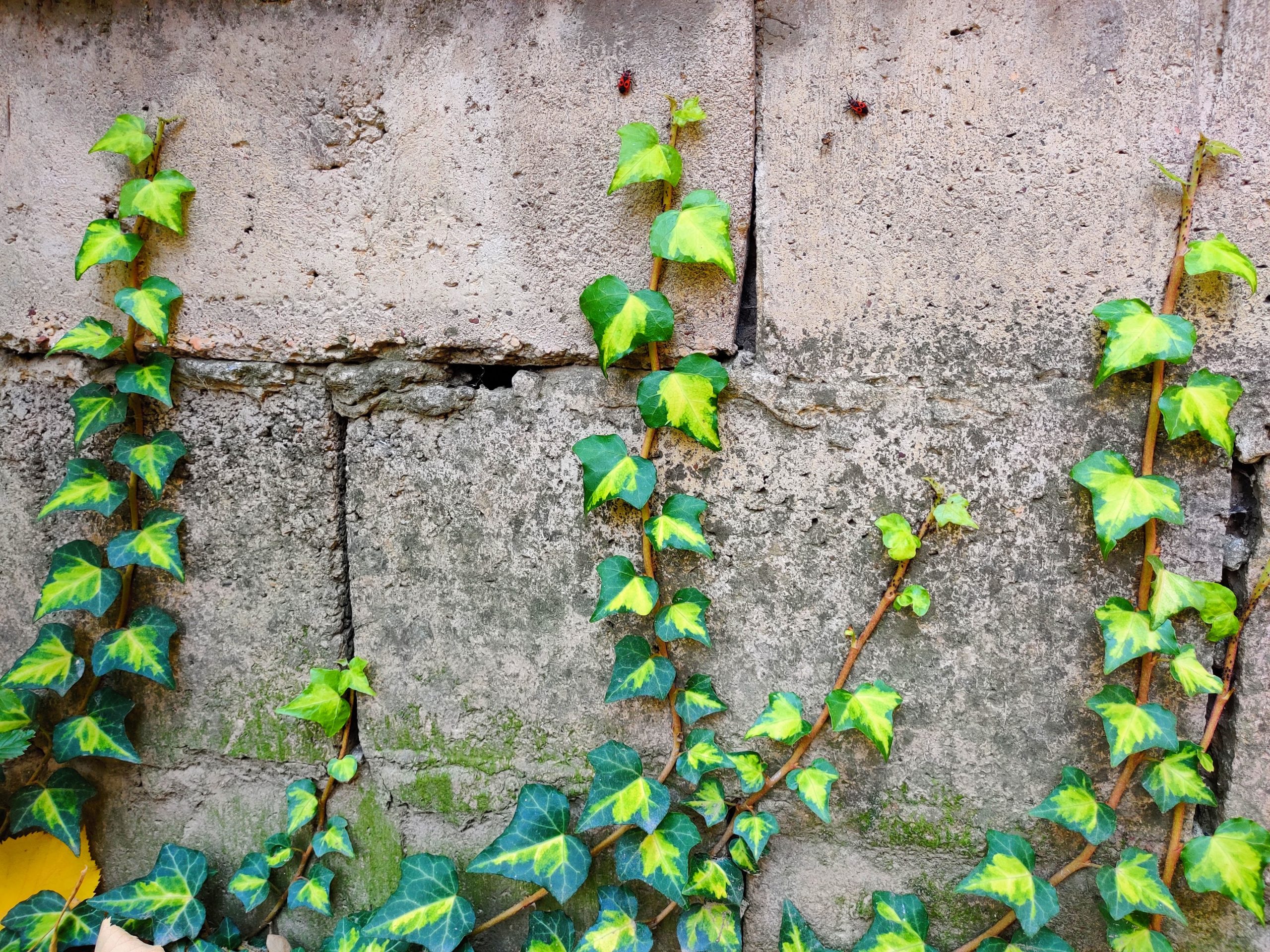 Concrete blocks